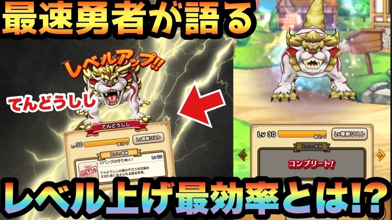 ドラクエ ウォーク てん どうし し レベル 上げ ドラクエウォーク てんどうししのレベル上げ進捗状況 完了 Stg Origin Aegpresents Com