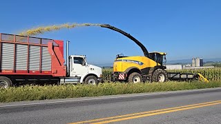 Chopping Corn and Earlage - Filling The Silos