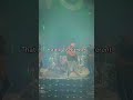 Drummer went crazy
