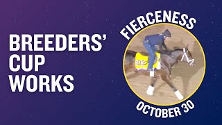 FIERCENESS Gallops at Del Mar October 30th
