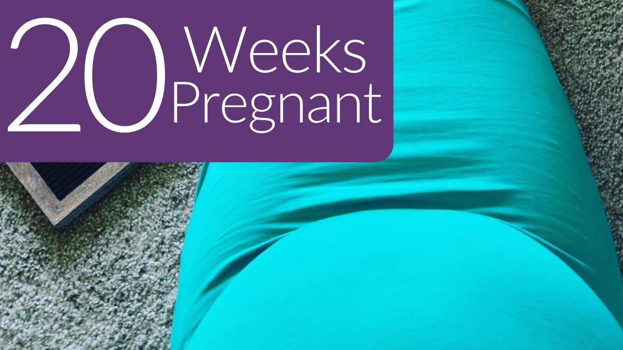 20 WEEK ANATOMY SCAN (Update + DITL Vlog) First Ultrasound Without My