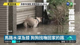 暴雨狂襲3小時高雄仁武水淹及胸部| 華視新聞20180828