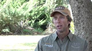 De Dam Capture Net. Where Did It All Start?