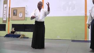 Fukakusa Shihan 8th Dan Aikikai in Israel 2012 #07