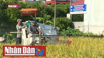 Triển khai sản xuất vụ đông xuân 2021 - 2022 các tỉnh phía Bắc