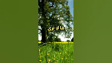اللهم أنعم علينا بعفوك وعافيتك وارزقنا الخير يا أكرم الأكرمين يا الله العفو العافية اللهم الرزق 