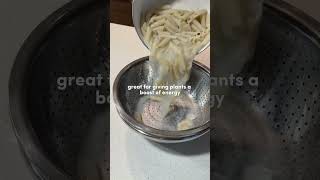 Turn Waste Into Natural Fertilizer