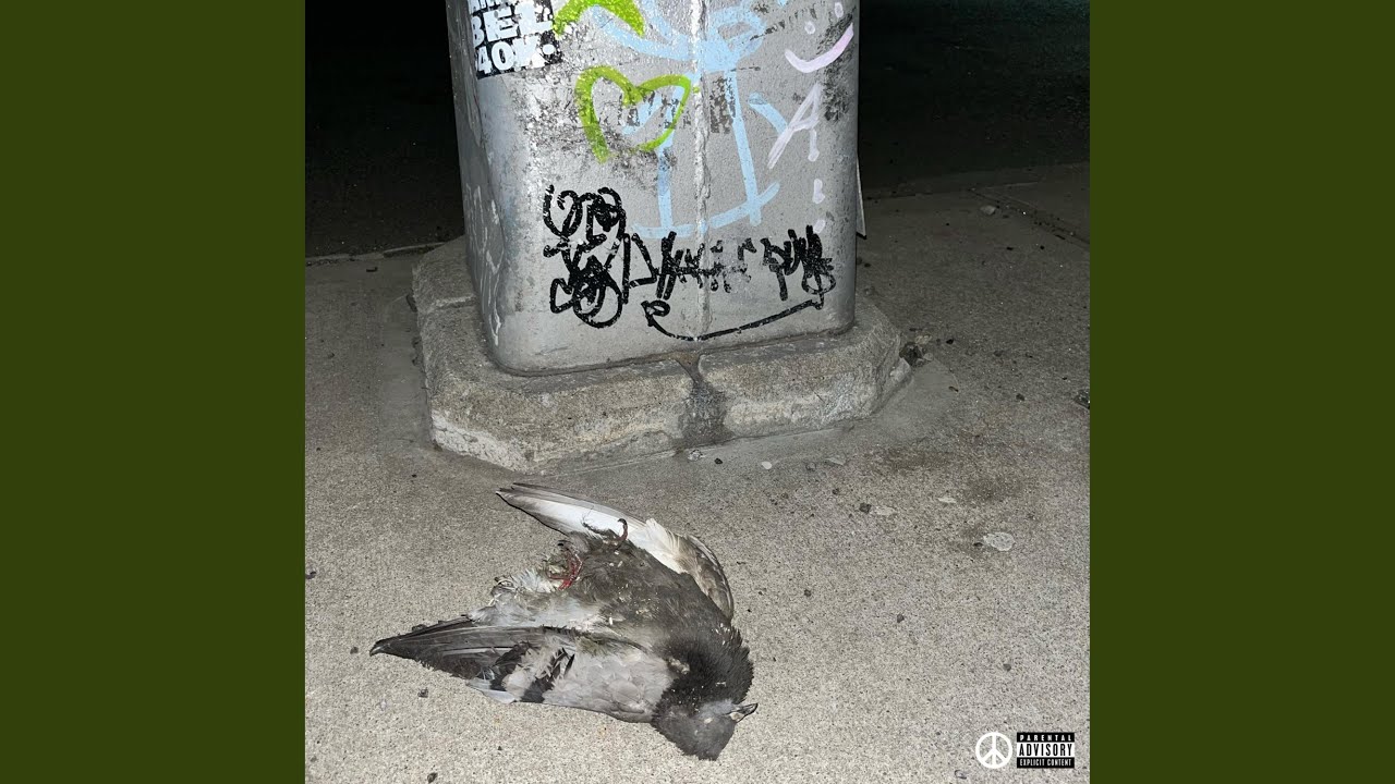 Watch Wock Walkin' on YouTube Watch Wock Walkin' on YouTube