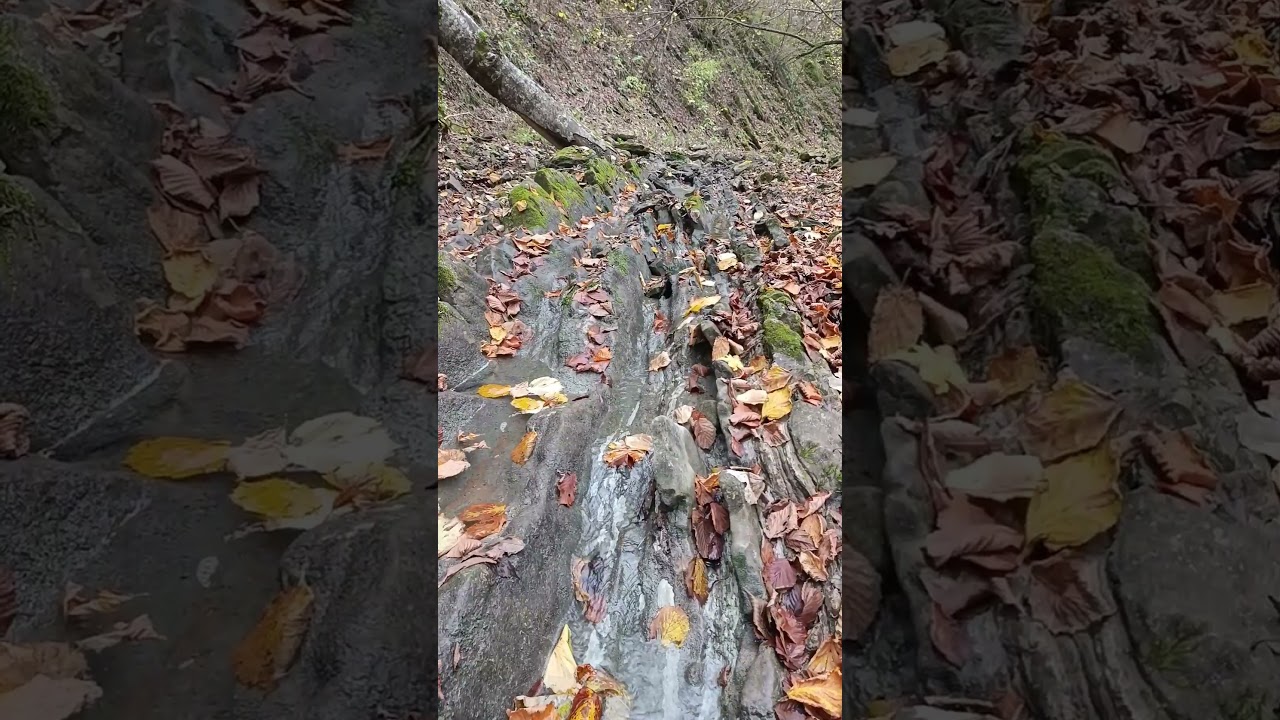 Полковничьи водопады /09.11.2025/ 