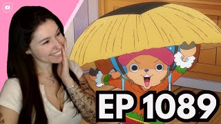 Egghead Arc Is Here One Piece Episode 1089 Reaction