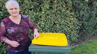 Bin Basics  - Yellow Recycling and Blue Crate