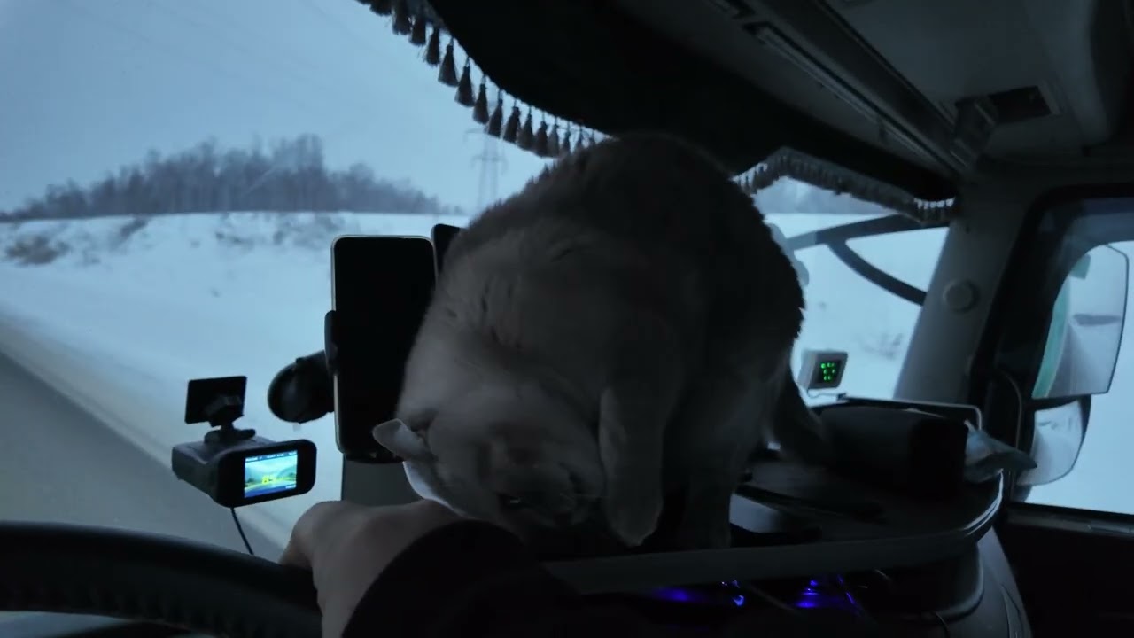 Просто рабочий будний момент