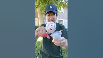 WORLDS RAREST LABUBU