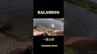 BALAM200絶好調第2弾 #バス釣り #blackbass #バラム200 #balam200