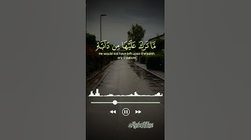 #قران_كريم #تلاوة_خاشعة #حالات_واتس #راحة_نفسية #اكسبلور #quran_alkarim  #foryou #quran