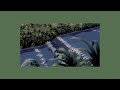 quiet forest 🌳🤍 (calm & introspective lofi mix)