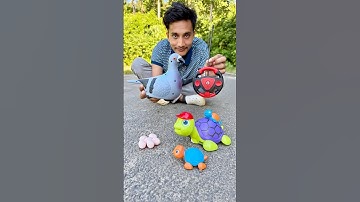 Amr Rc Birds And Rc Turtle 3 Gu Unboxing💥