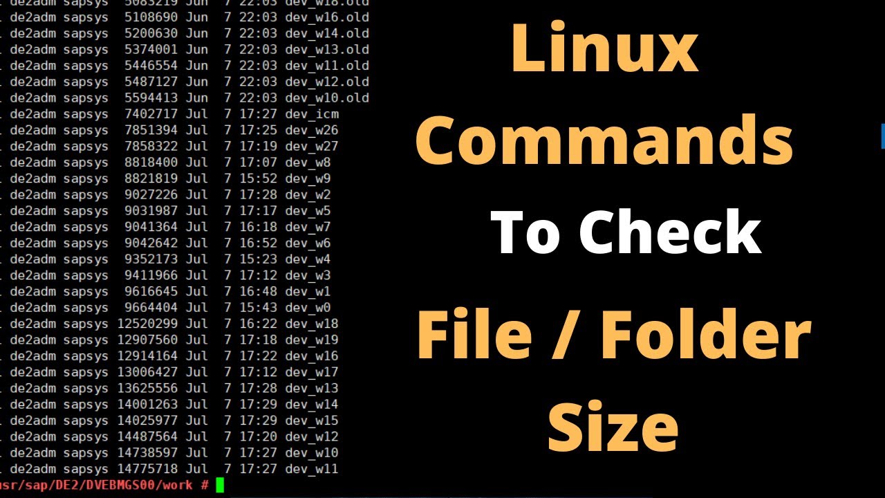 find word in file folder linux