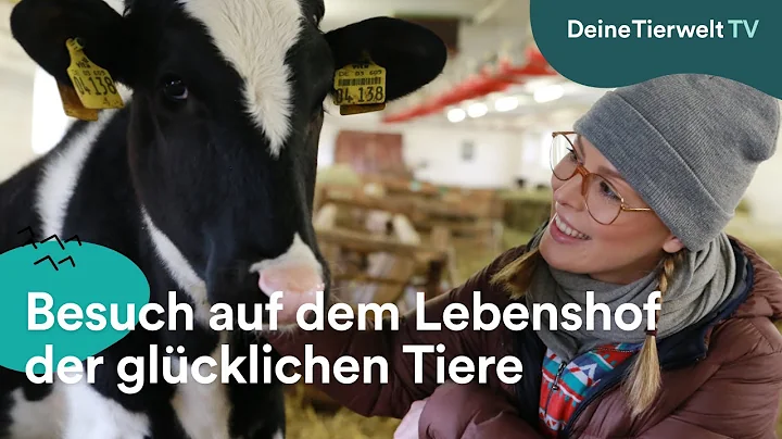 Besuch auf dem Lebenshof der glcklichen Tiere