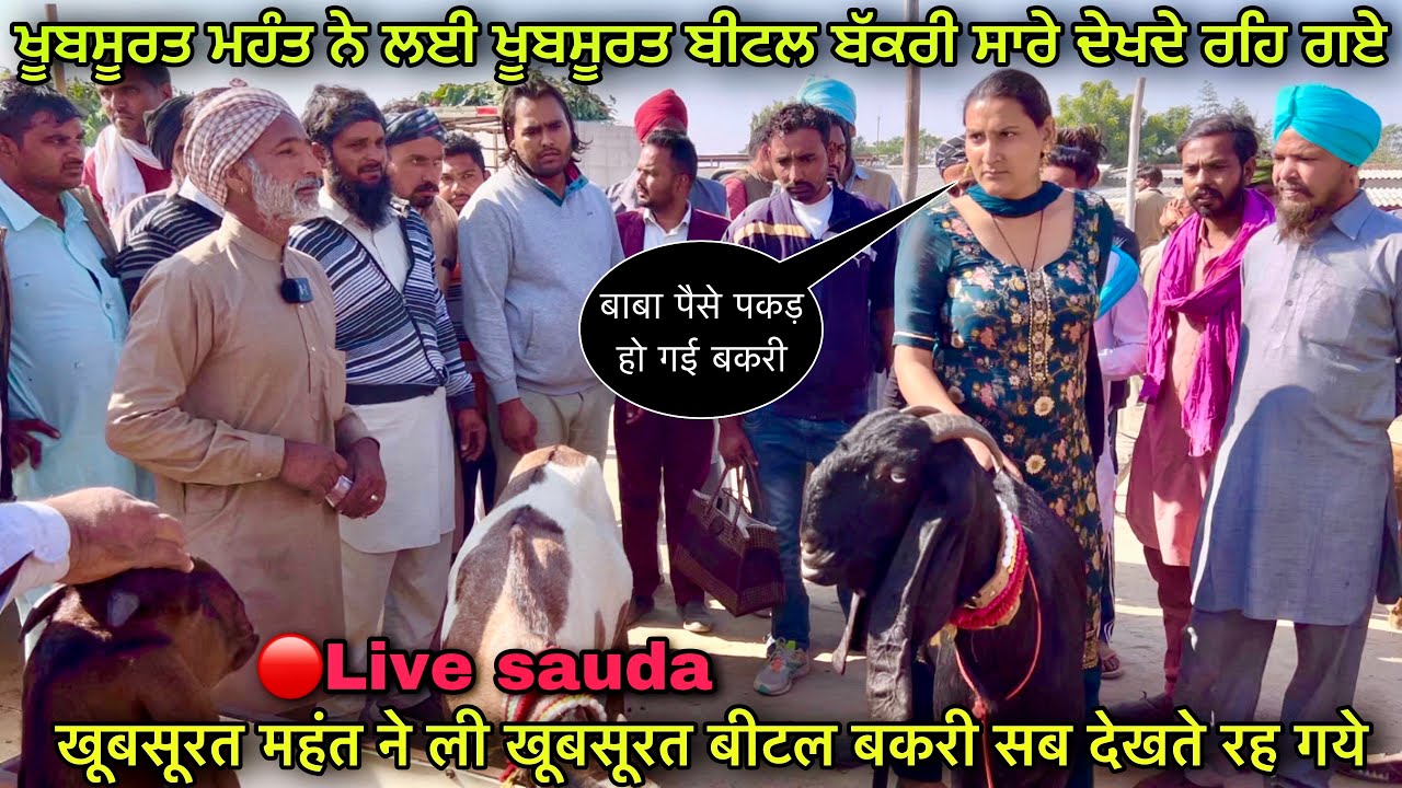 खूबसूरत महंत ने ली खूबसूरत बीटल बकरी सब देखते रह गये #live_sauda tungwali bakri bazar @farming baba