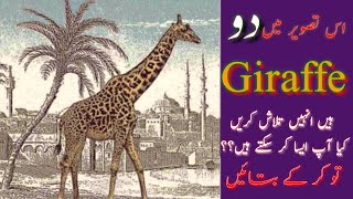 Differences | find differences | find things in picture | find things game | riddles screenshot 4