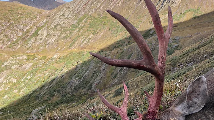Hunting Above Timberline