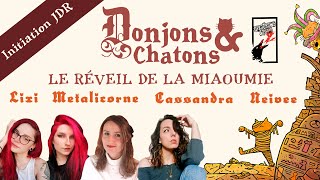 Actual Play - Donjons & Chatons - avec @croquelesmots, Lixiviatio, Neivee et @Metalicorne screenshot 3