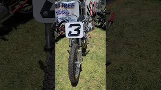 Born Free 16 Triumph Row