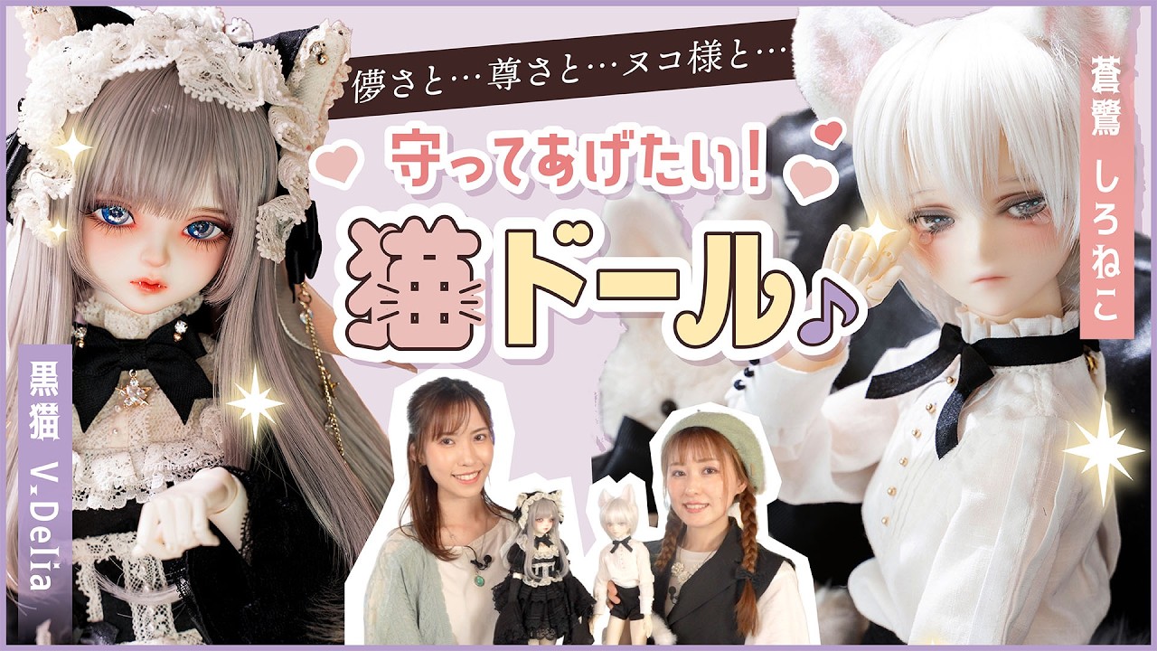 DOLK×MELODY.C×MYOU DOLL | 黒猫 V. Delia ver. Limited - Special