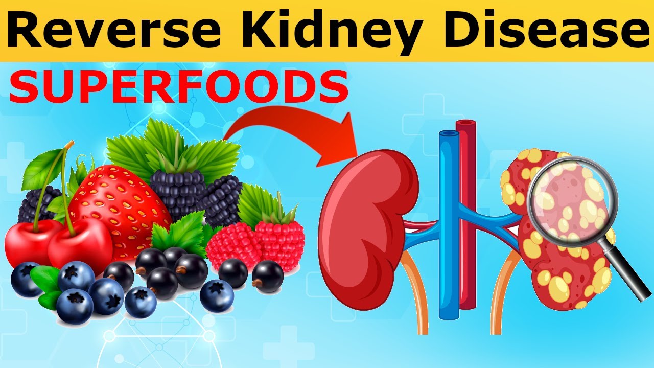 10 SUPERFOODS to Cleanse and Repair Your Kidneys! - YouTube
