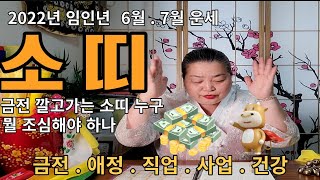 22년 임인년 띠별운세 6월,7월 소띠 운세 금전을 깔고 가는 소띠는 나 - 울산 용한무당 점집 추천 후기 …