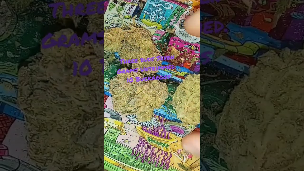 Bluniverse - Blue Magoo X Ms Universe 🌌 