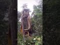 ular piton raksasa vs excavator #automobile #excavator #shorts #youtubeshorts #ularpiton