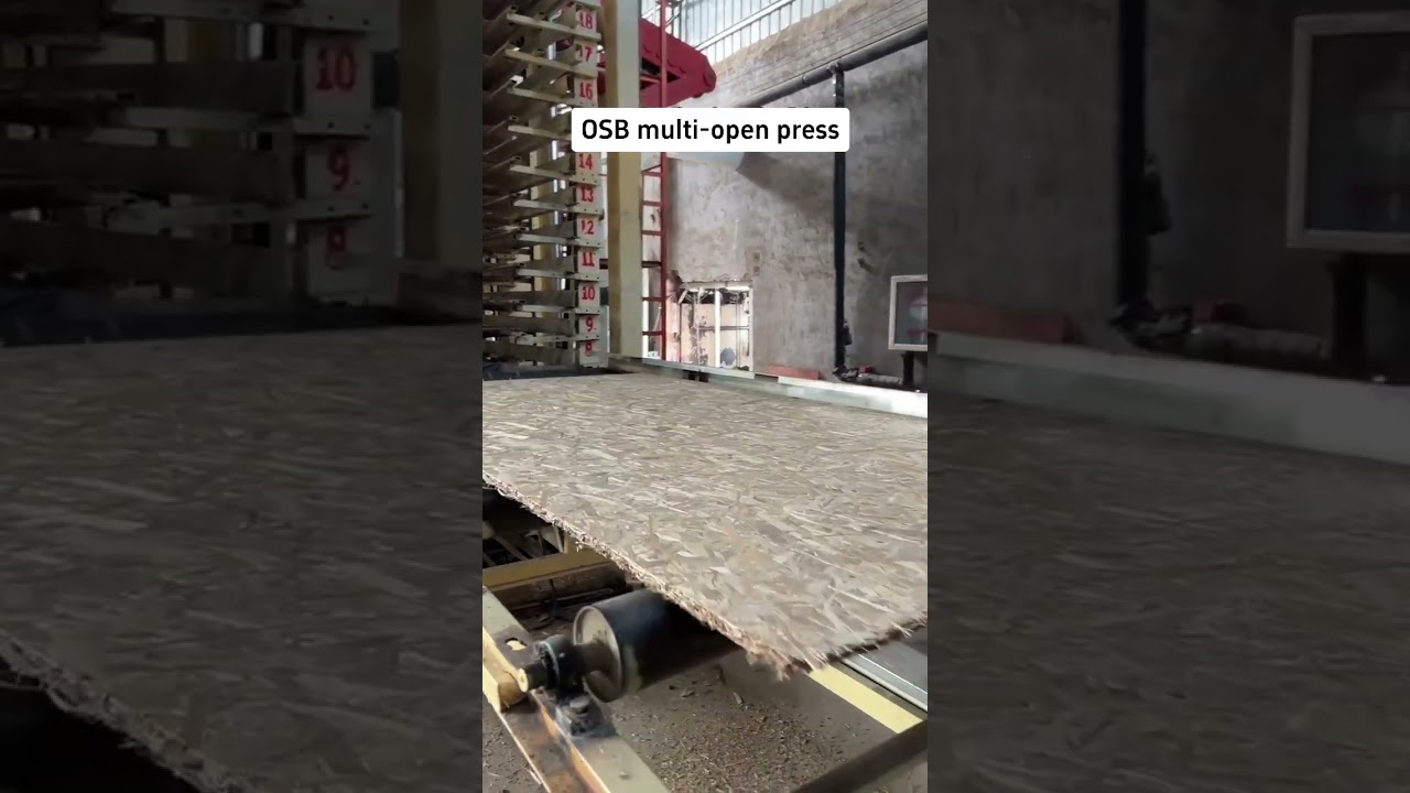 OSB multi-open press line, hot press plate, conveyor roller etc spare parts for your choose 
