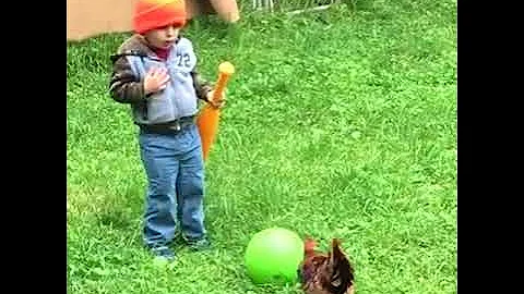 Петух Отомстил! Приколы с Детьми! / Rooster revenge! Fun with the kids! Xoruzlar ve usaqlar..
