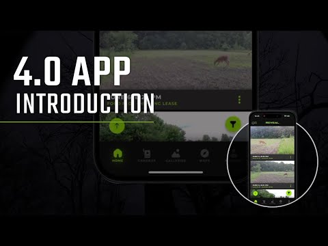 Introduction: 4.0 APP