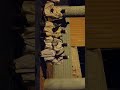 سيد الديباج والقوف.. قدورة..كاكا