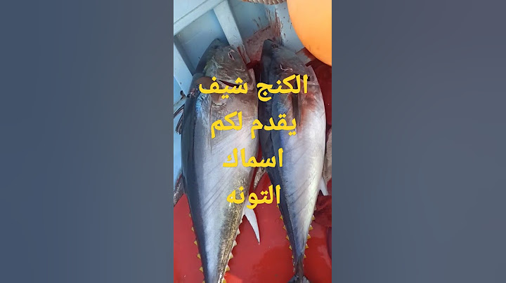 رحلات صيد التونه العنيده مع الكنج كل يوم فيه جديد فين التفاعل