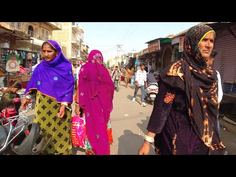 Local Life in the Thar Desert of India | A Tour of Jaisalmer