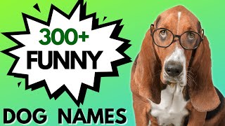 300+ FUNNY Dog Names 😆| Unisex Dog Names (Boy & Girl Dog Names)