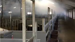 Venttube Fresh Smoke Test