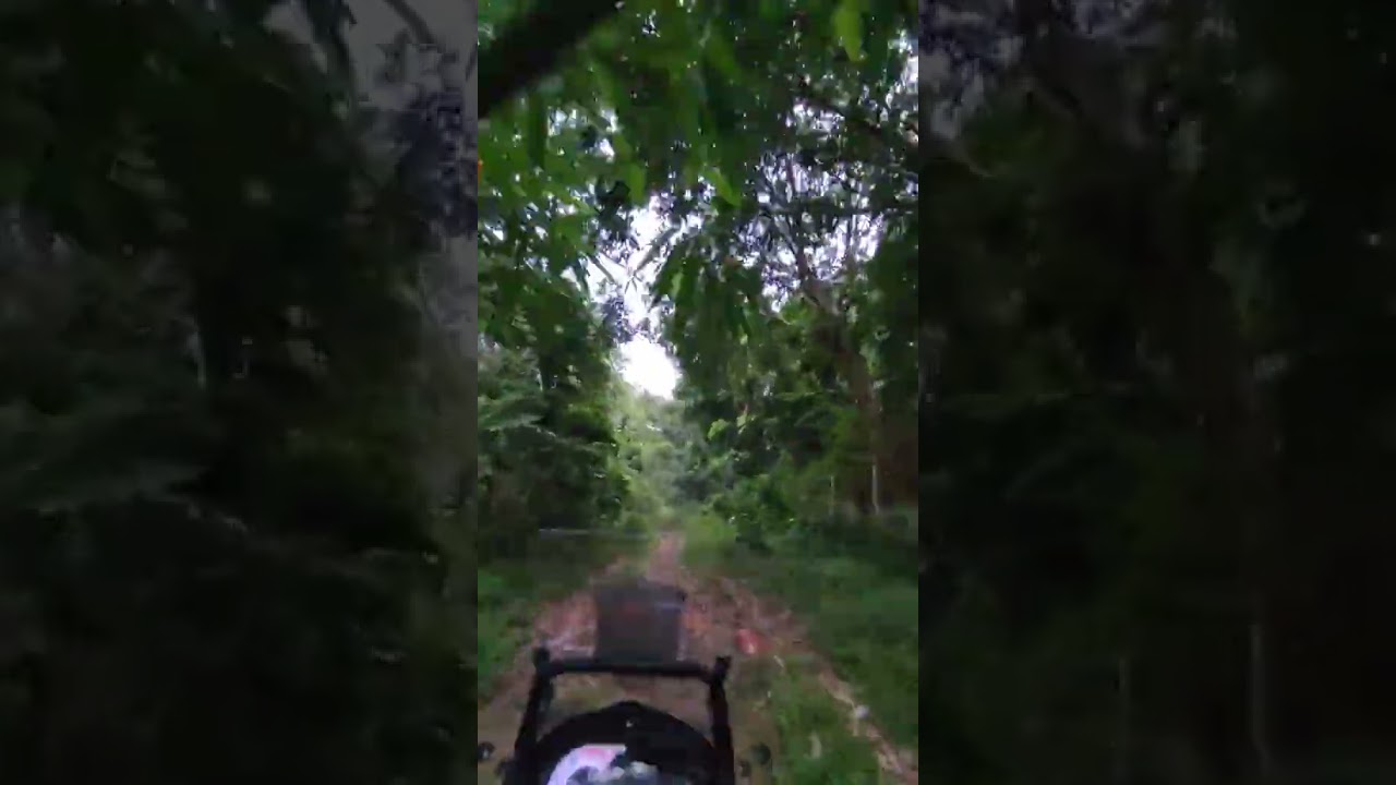 TRK502X Off-Roading 💕 | Adventure Bike Trail Ride 🏞️