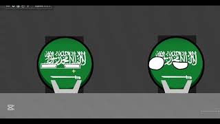 Charkhi Dadri Mid Air Collision - SVA763 and KZK1907 Crash Animation
