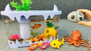 Mini aquarium unboxing remote control octopus robot fish toy fishing game decompression ASMR