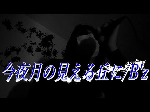 B’ｚ 今夜月の見える丘に  歌ってみた　【歌詞付き】『Beautiful Life 〜ふたりでいた日々〜』の主題歌です。cover by TawALa hosISIco