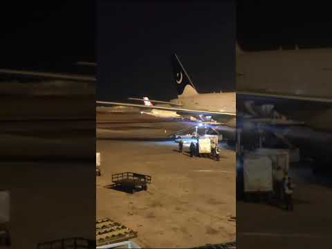 Karachi AirPort Love U Arsala Cat Animemusic Funny Shortvideo Viralvideo Arsla Animesound 