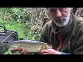 Irish Chub. Proof they do exist in Ireland. #IrishChub #Nonative