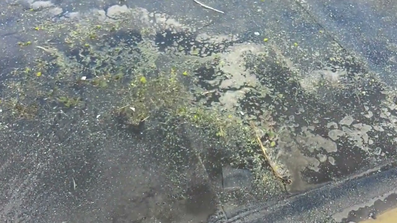 Afrensning af tagpap tag