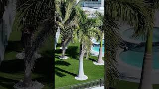 Boost your property value by up to 15 percent with expert-installed synthetic turf.  #ModernGrounds
