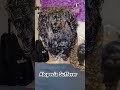 Alopecia Sufferer Gets Beautiful Transformation #hairloss #hairlosssolution #wiginstall #alopecia